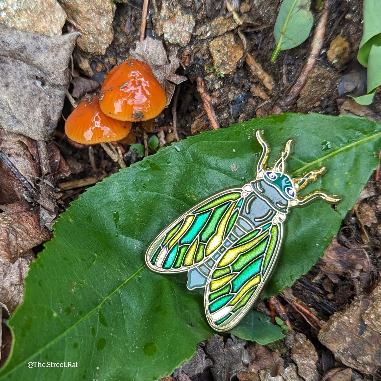 Cicada enamel pin