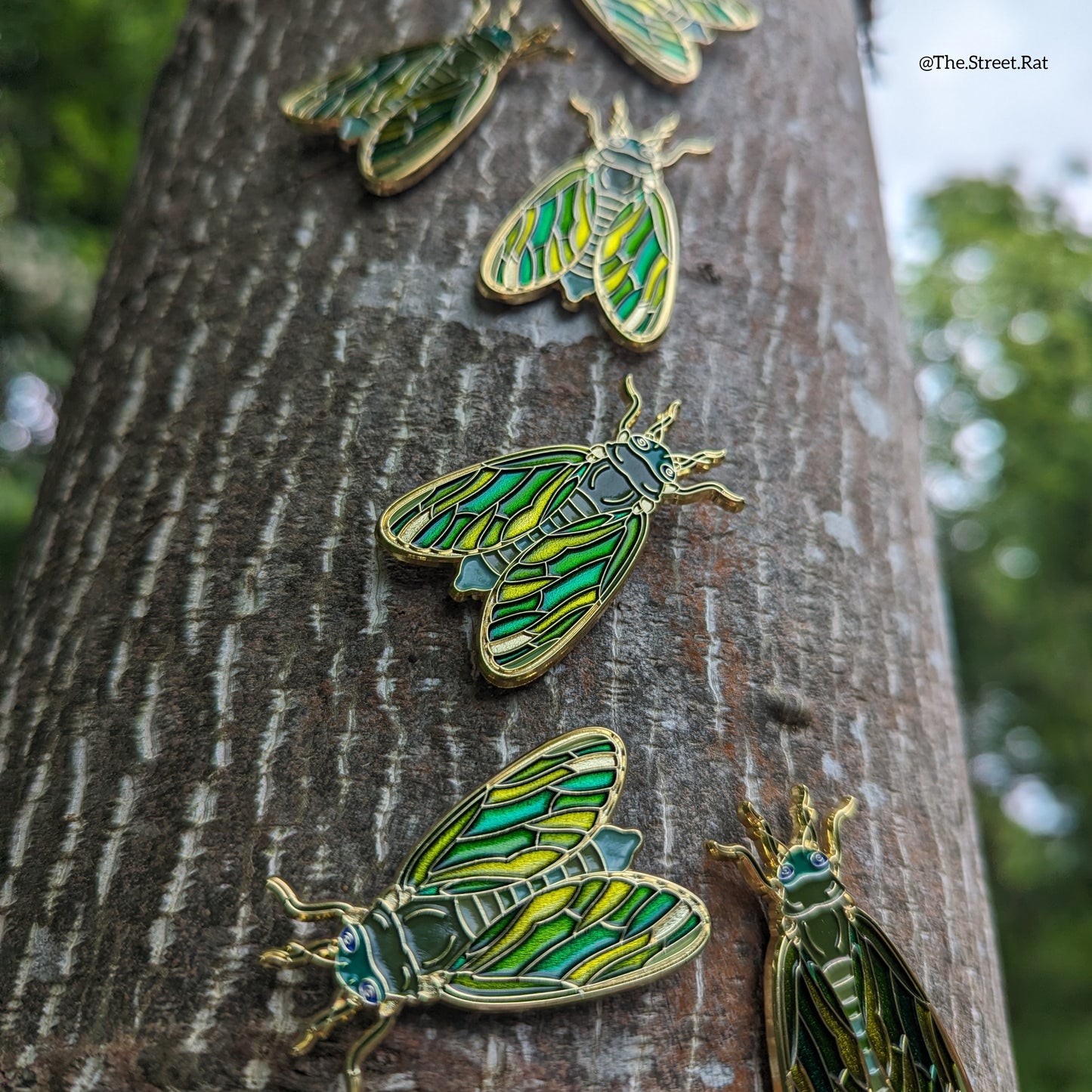 Cicada enamel pin