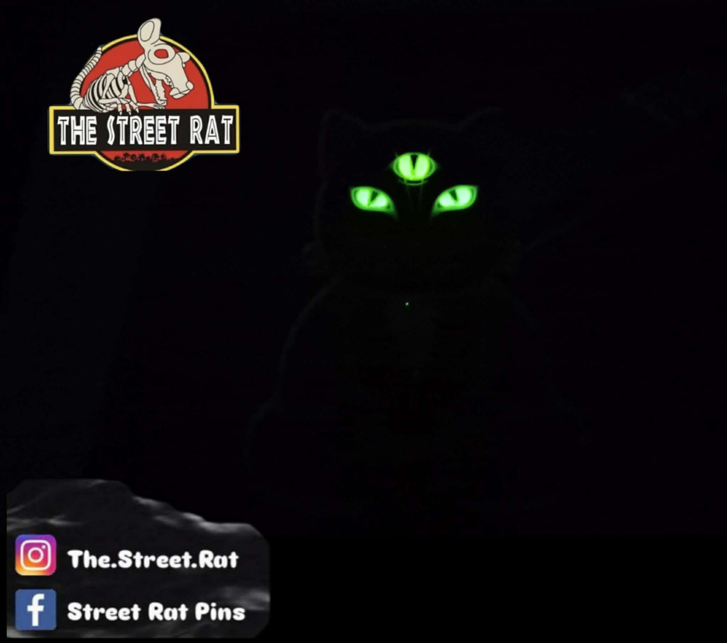 3rd Eye Cat Buddah